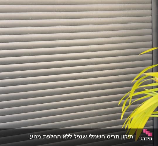 תריסים אפורים סגורים עם עלים ירוקים בצד